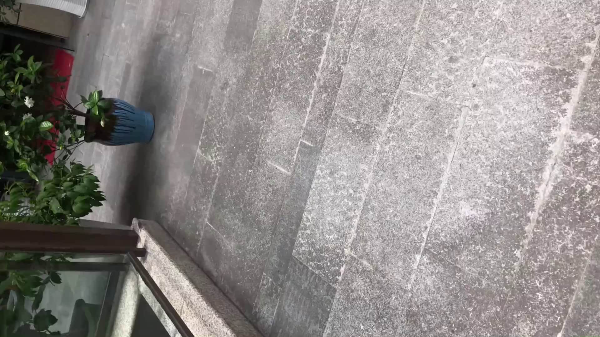國內廁拍大神商場尾隨妹子進入公共女廁偷拍 顏值得蠻高的其中有幾個嫩穴非常不錯