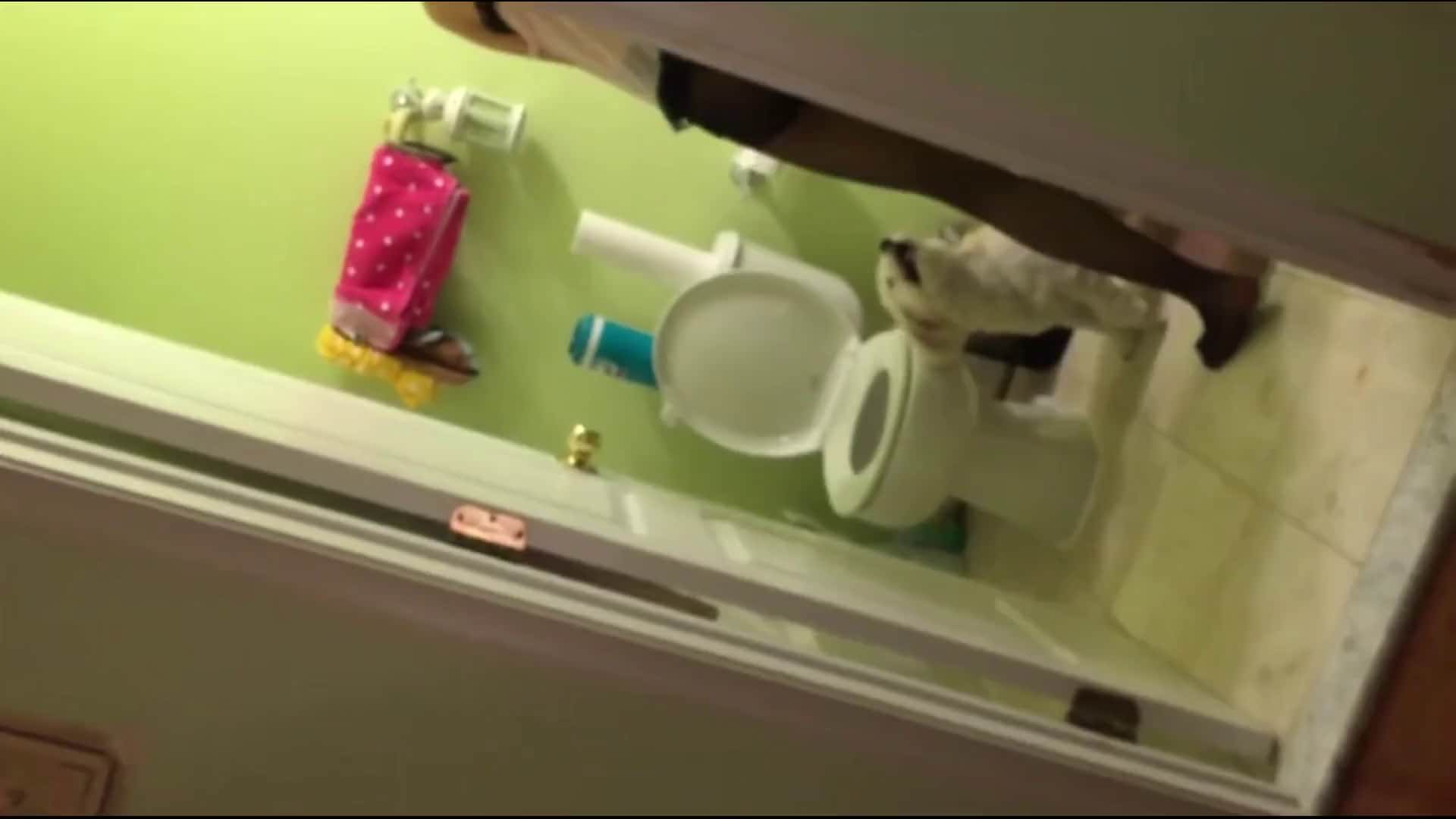 經常一塊遛狗結識的寂寞風騷小少婦老公出差私會帥氣小夥 穿著黑絲情趣裝挑逗直接幹了 摸了奶子兩下下面直接濕了 國語對白～1080p高清