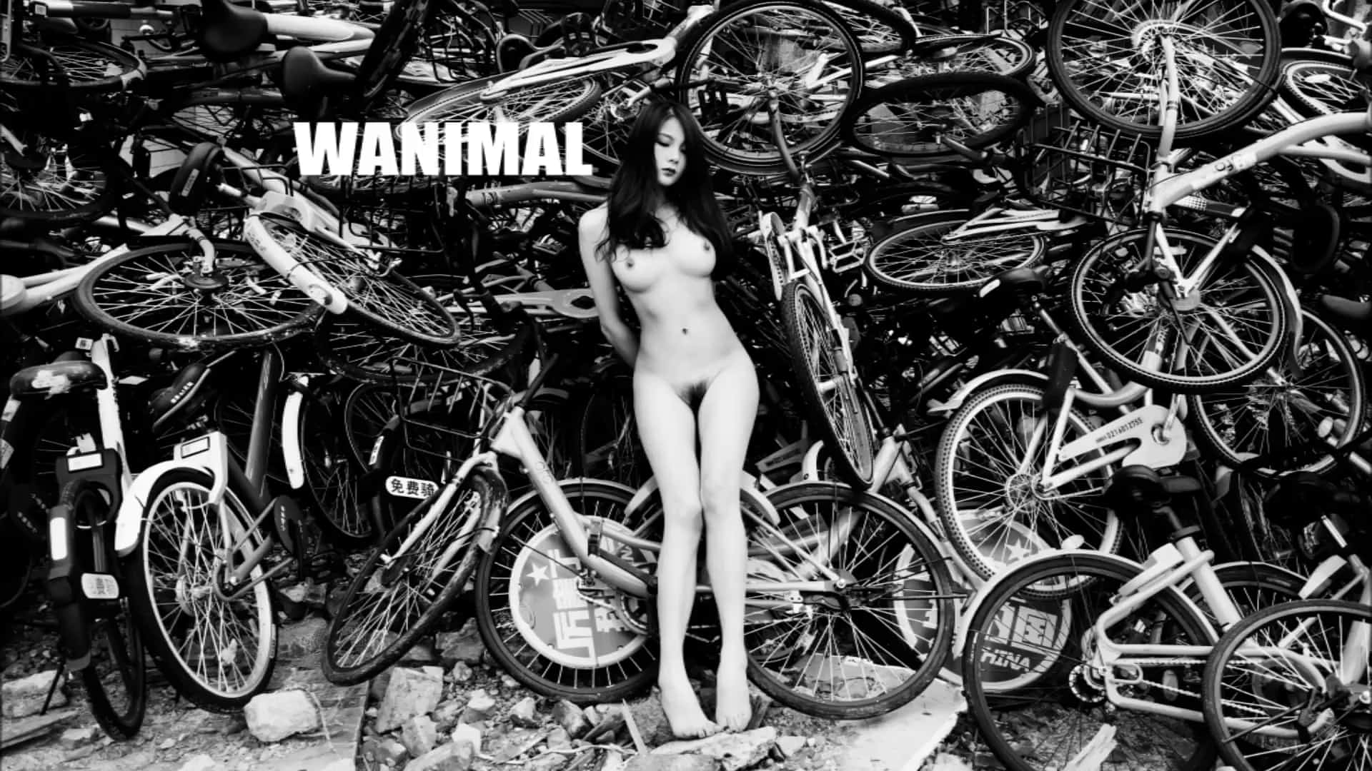精品推薦 色影大師王動wanimal官方出品vip視圖-奔放狂野的性愛 爆乳美女極度香艷 1080p高清原版