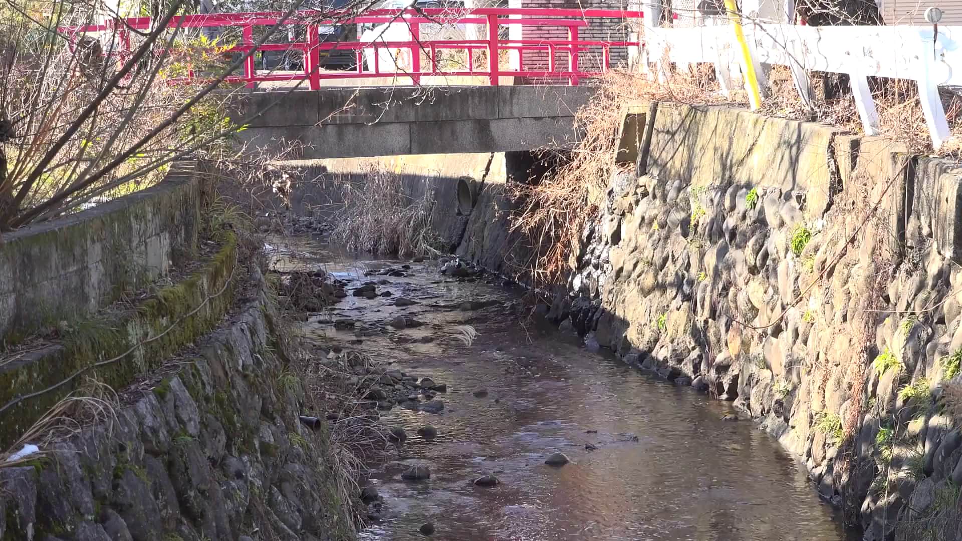  筆おろし温泉ソープ 親父が再婚して― gカップ巨乳の義母さんができた。家族旅行で僕が童貞だとわかると淫乱な義母さんに狙われて… 葵百合香 - 1of5