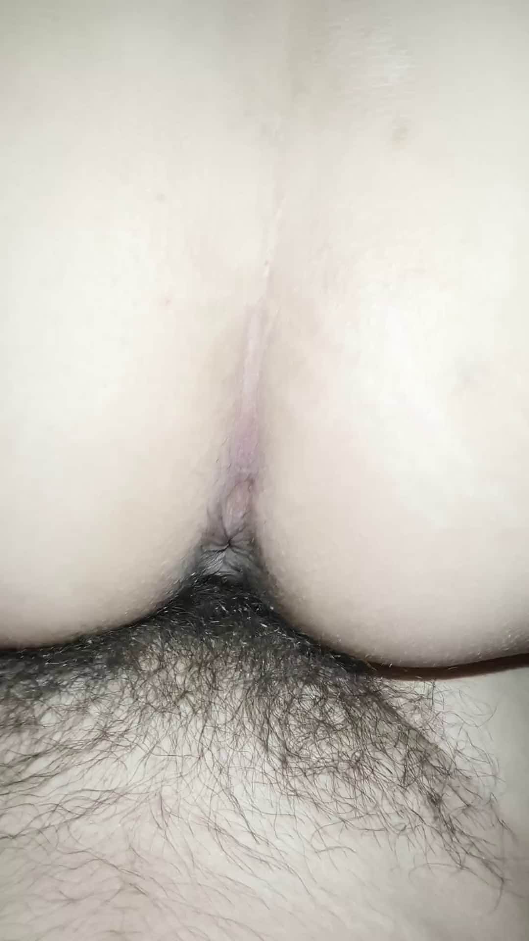 母狗