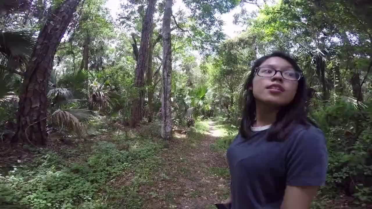 外表看起來文靜清純的臺灣醫科大眼鏡學妹和當地原住民黑人原始森林野戰啪啪 相當刺激～720p高清